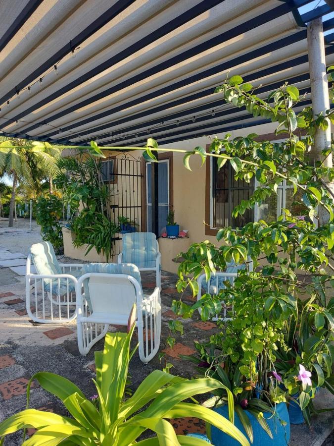 فيلا Casa Ibiza سيليستون المظهر الخارجي الصورة