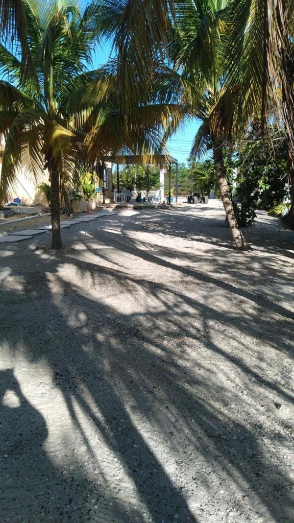 فيلا Casa Ibiza سيليستون المظهر الخارجي الصورة